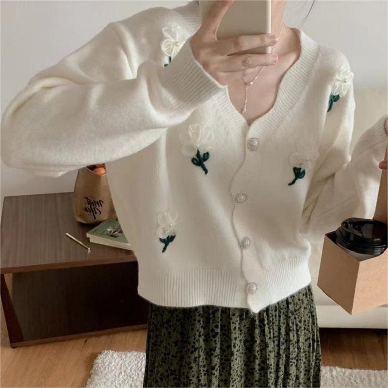 Lace Collar Top