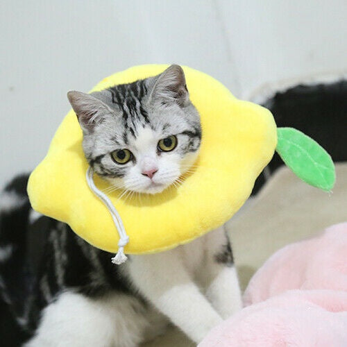 Adjustable Pet Neck Cone Recovery Pet Cat