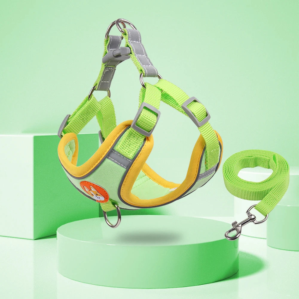 New Dog Leash And Harness Set
