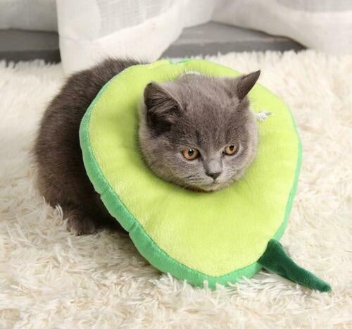 Adjustable Pet Neck Cone Recovery Pet Cat