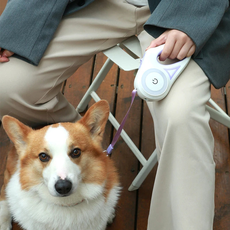 3 And 5M Dog Leash Light Retractable Pet