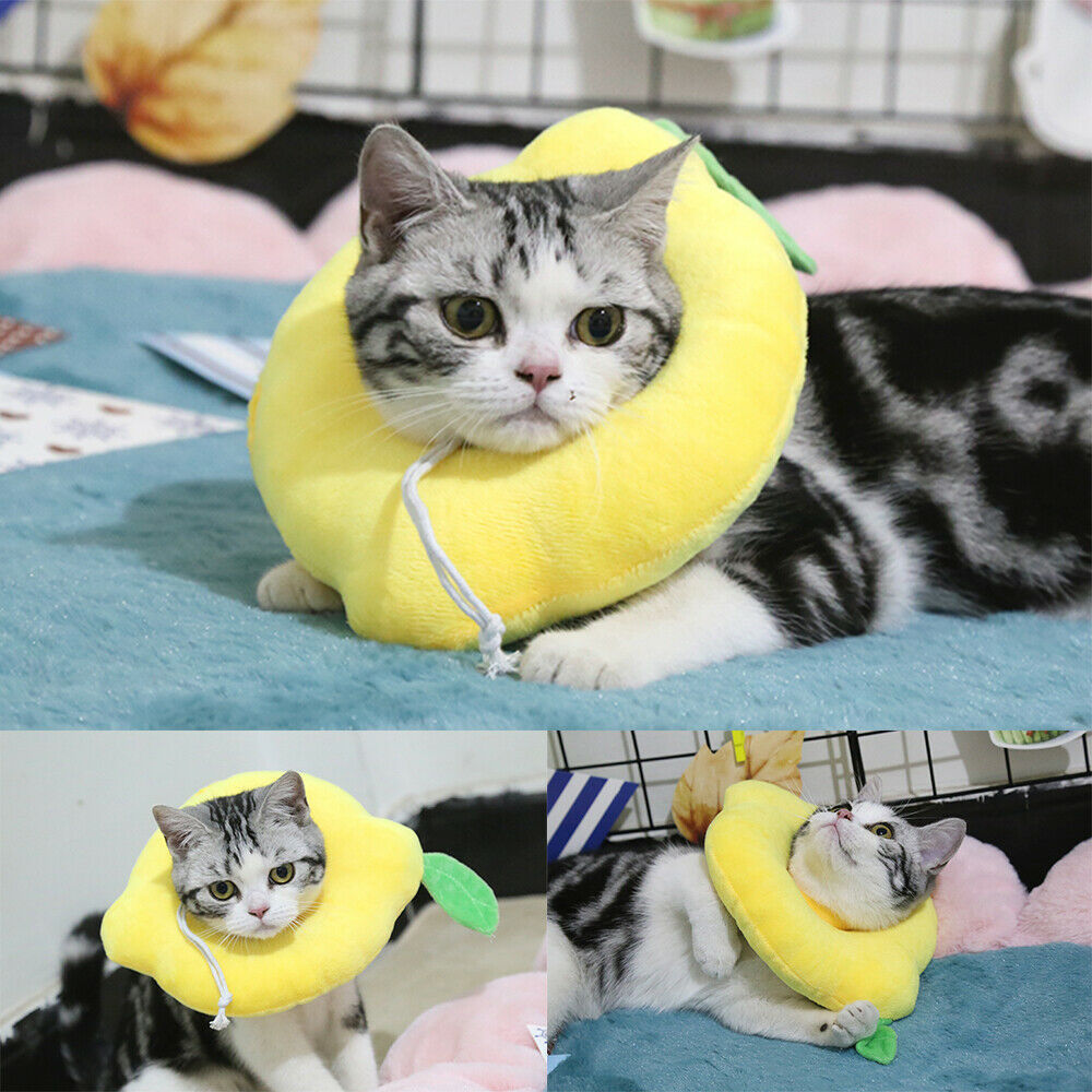 Adjustable Pet Neck Cone Recovery Pet Cat