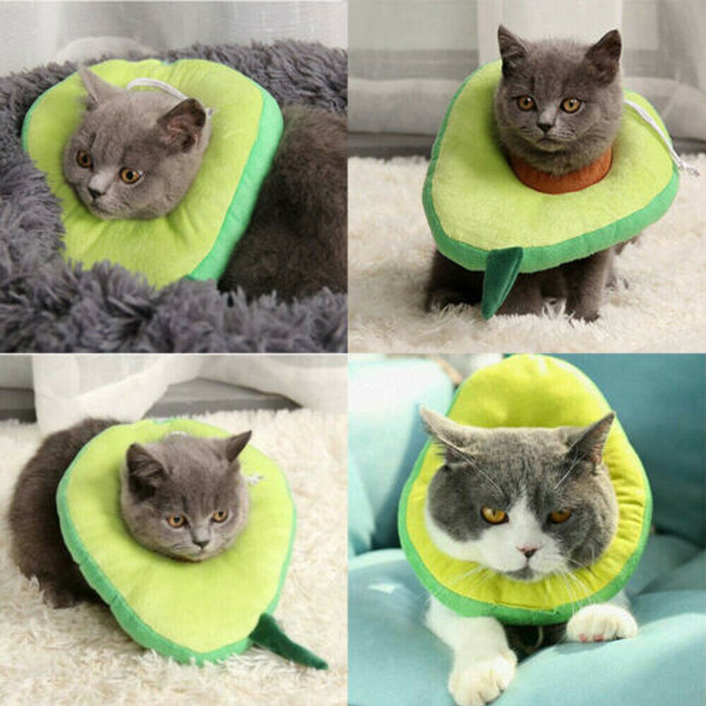 Adjustable Pet Neck Cone Recovery Pet Cat