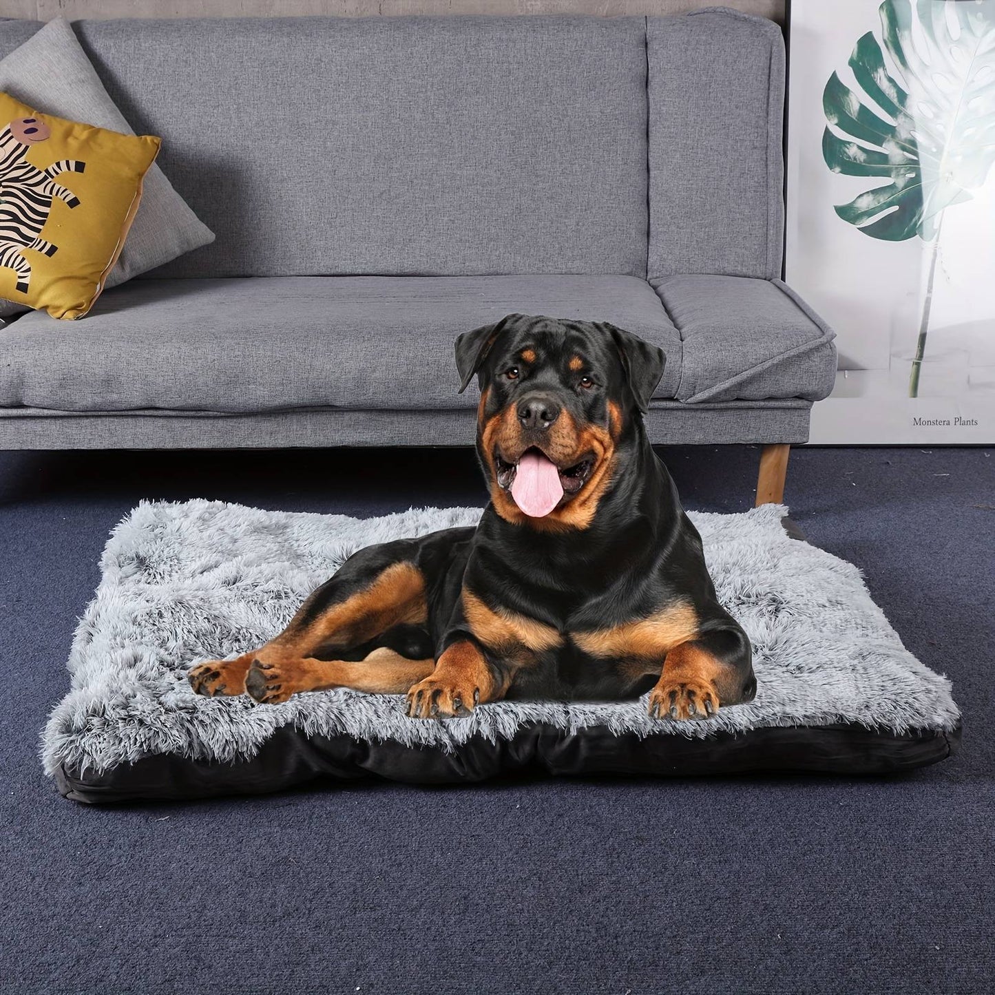 Pet Dog Bed