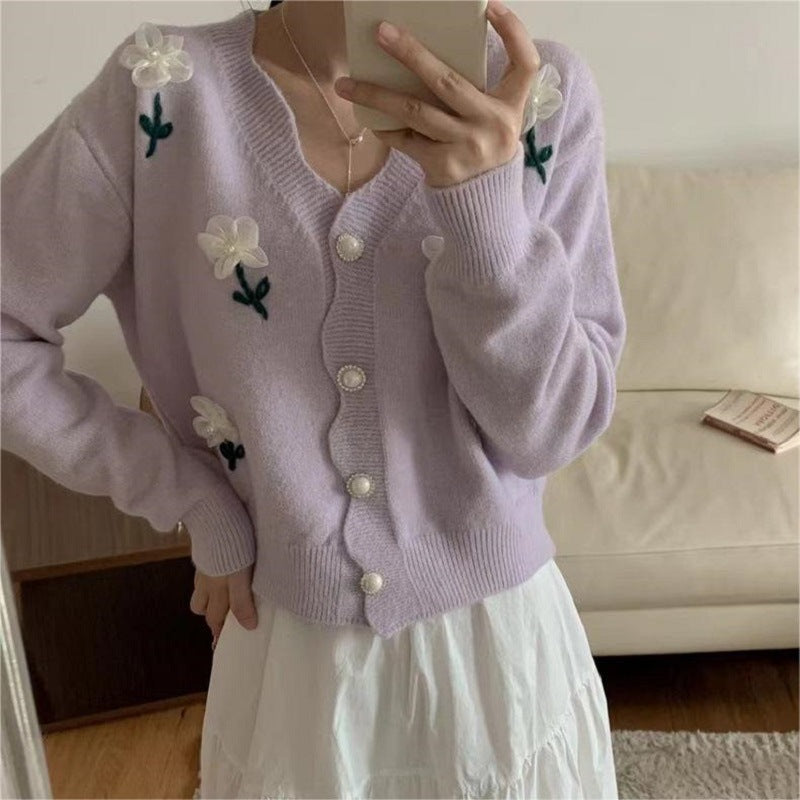 Lace Collar Top