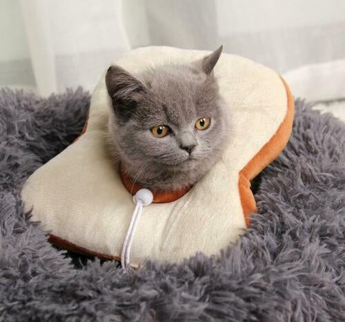 Adjustable Pet Neck Cone Recovery Pet Cat